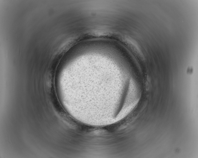 X0000090630210200708141441