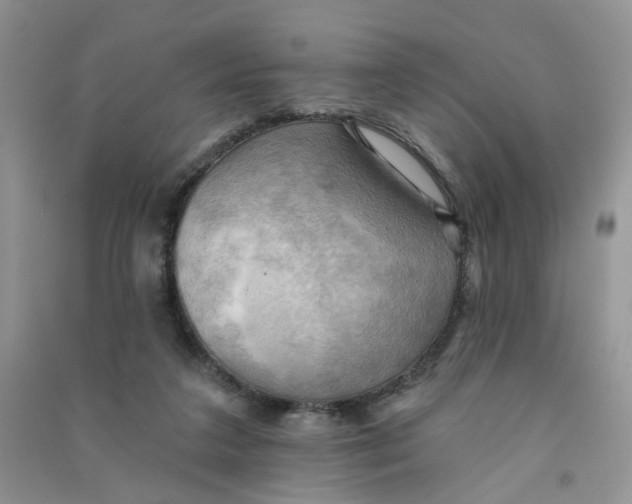 X0000090630211200708141441