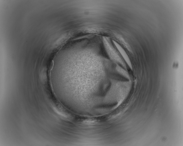 X0000090630213200708141441