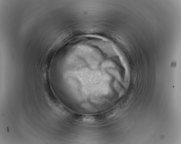 X0000090630214200708141441