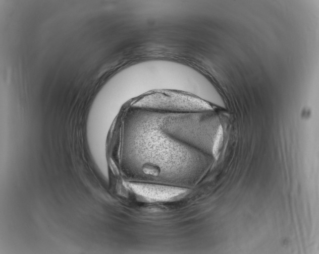 X0000090630215200708141441