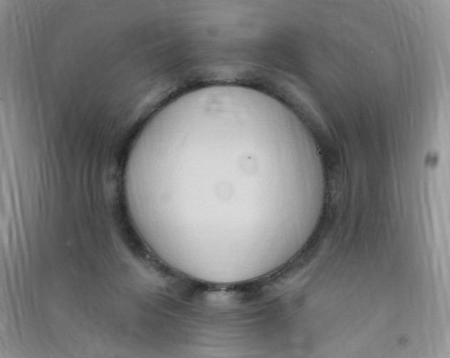 X0000090630216200708141441