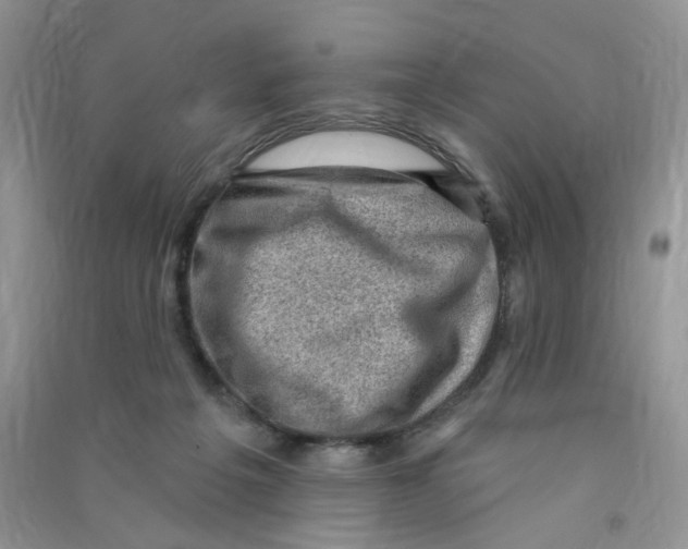 X0000090630217200708141441