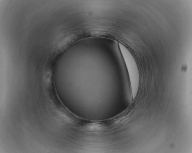 X0000090630219200708141441