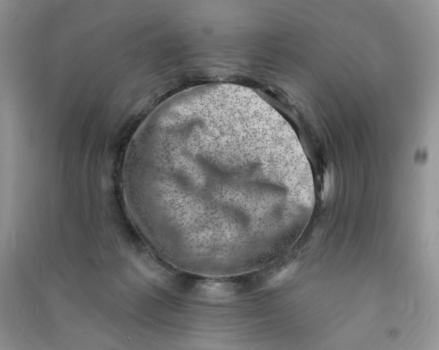 X0000090630221200708141441