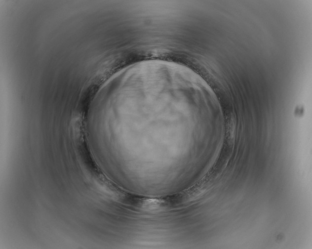 X0000090630222200708141441