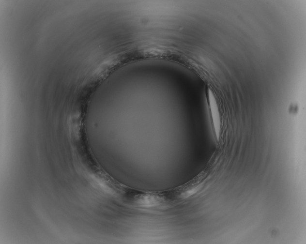 X0000090630223200708141441