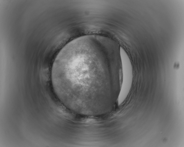 X0000090630224200708141441