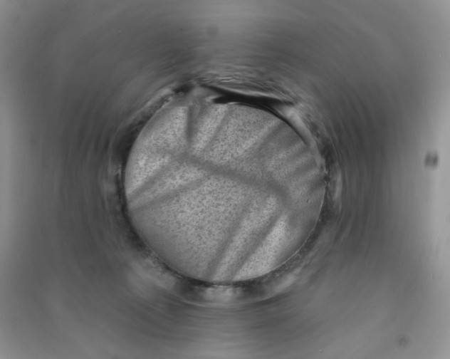 X0000090630225200708141441