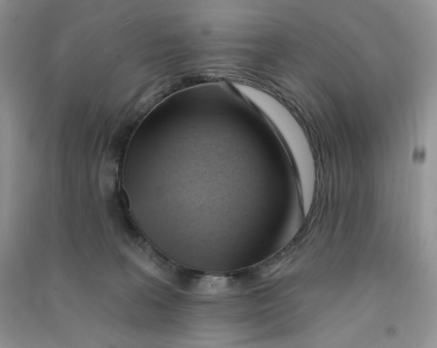 X0000090630227200708141441