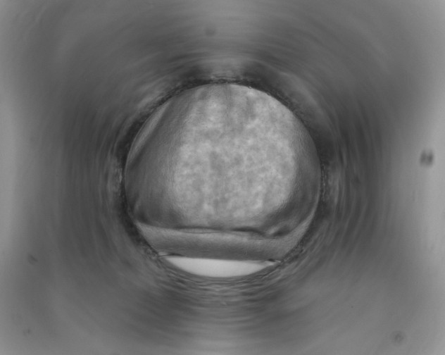 X0000090630228200708141441