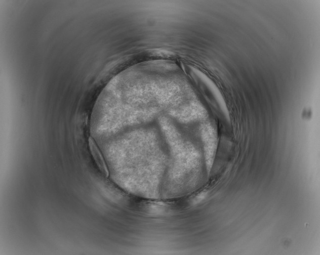 X0000090630229200708141441