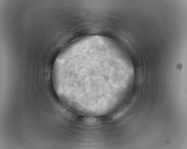 X0000090630230200708141441