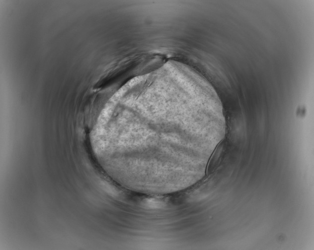 X0000090630232200708141441