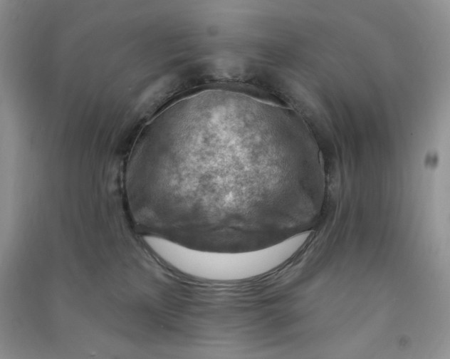 X0000090630233200708141441