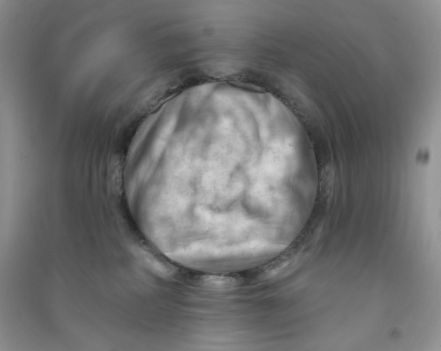 X0000090630234200708141441