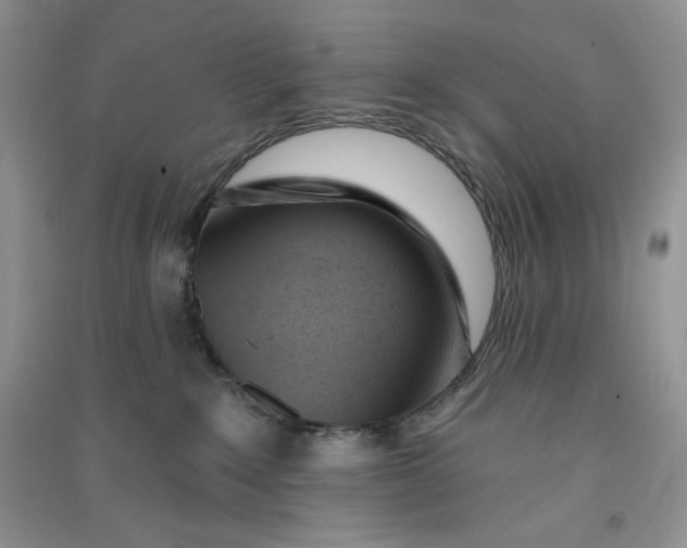 X0000090630235200708141441