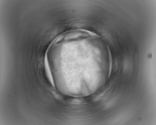 X0000090630236200708141441