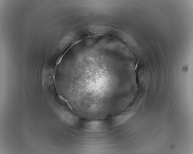 X0000090630237200708141441