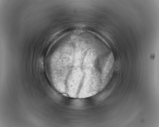 X0000090630238200708141441