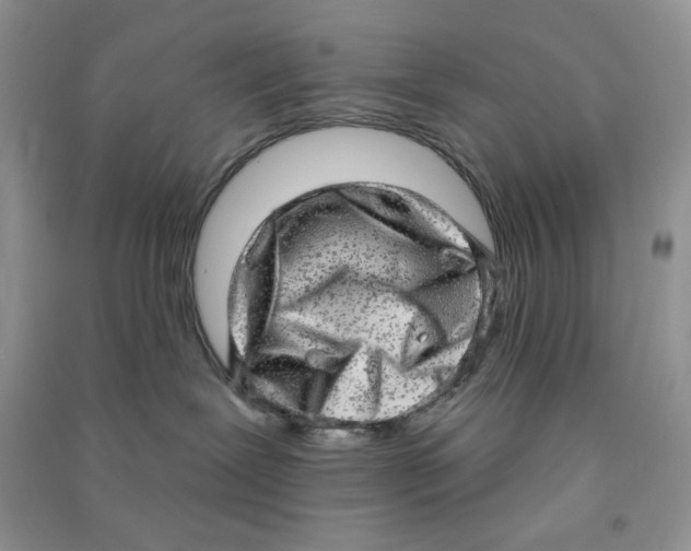 X0000090630239200708141441