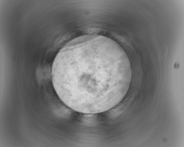 X0000090630240200708141441
