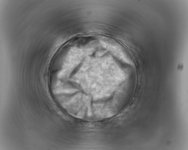 X0000090630241200708141440