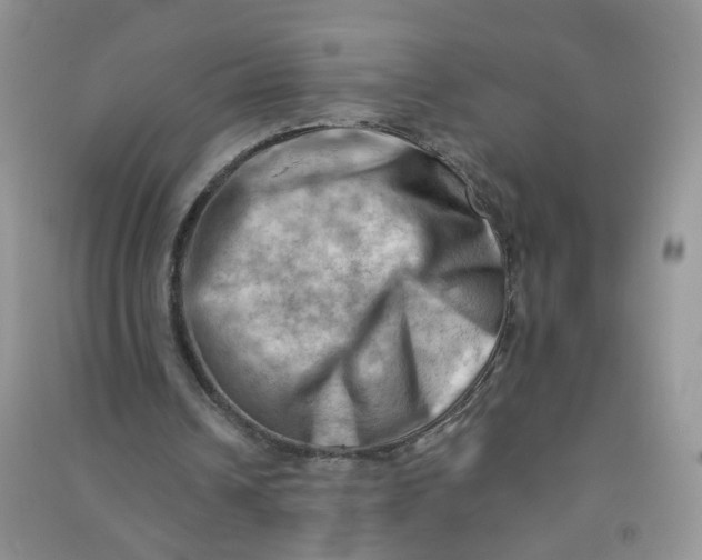 X0000090630242200708141440