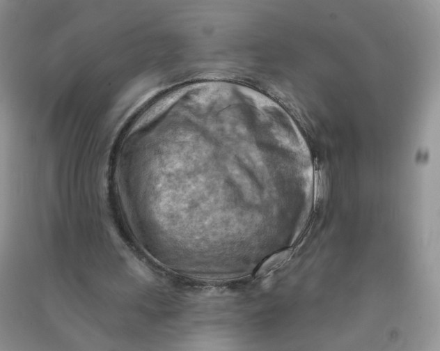 X0000090630243200708141440