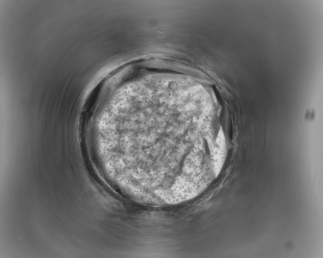 X0000090630244200708141440