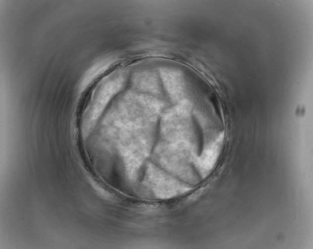 X0000090630245200708141440