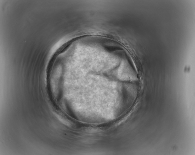X0000090630246200708141440