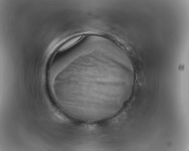 X0000090630247200708141440