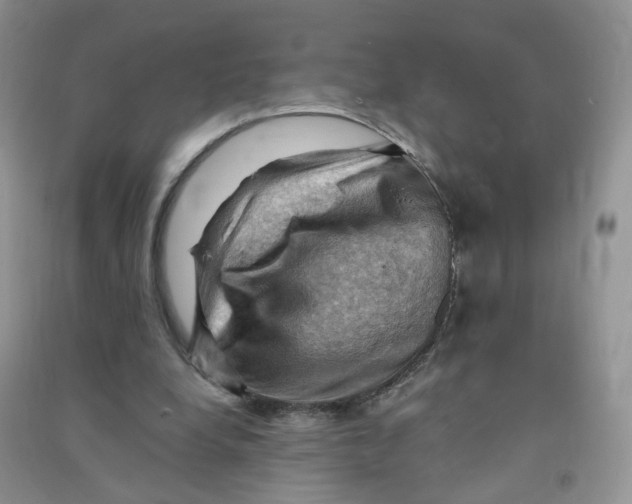 X0000090630248200708141440