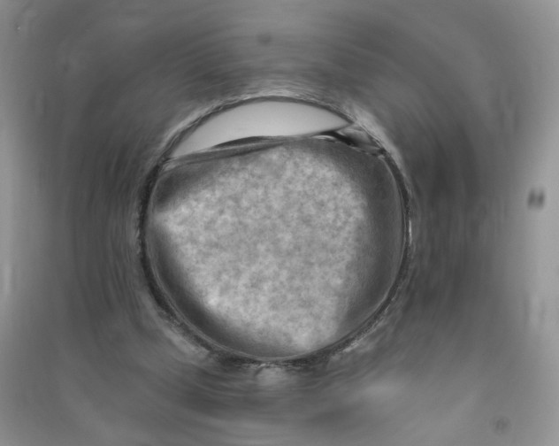X0000090630249200708141440