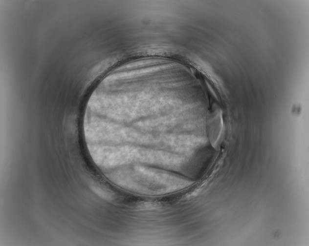 X0000090630250200708141440