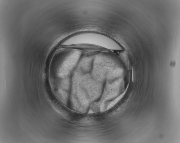 X0000090630252200708141440