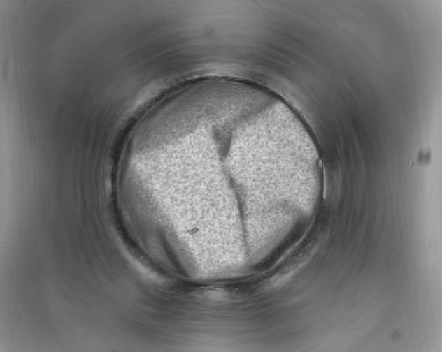 X0000090630253200708141440
