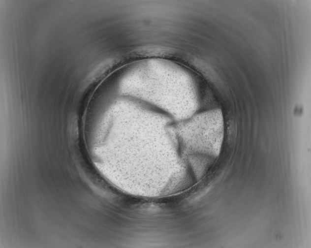 X0000090630254200708141440