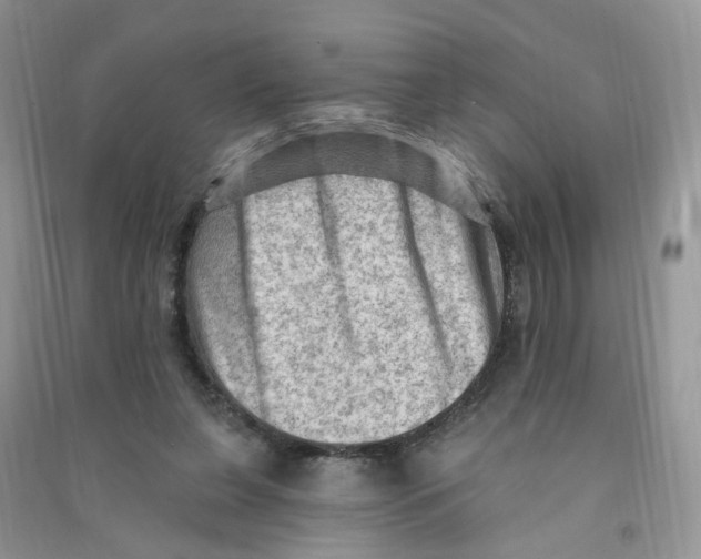 X0000090630255200708141440