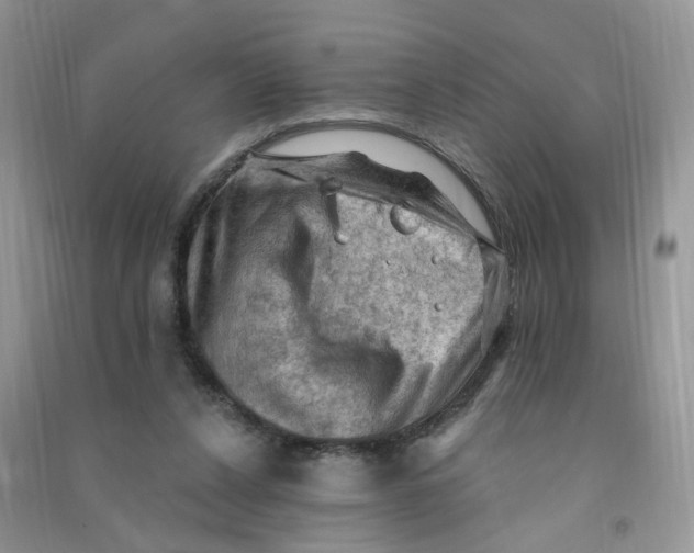 X0000090630256200708141440