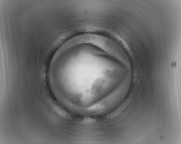X0000090630257200708141440