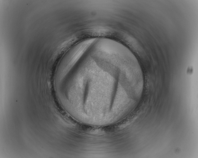 X0000090630258200708141440