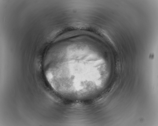 X0000090630259200708141440
