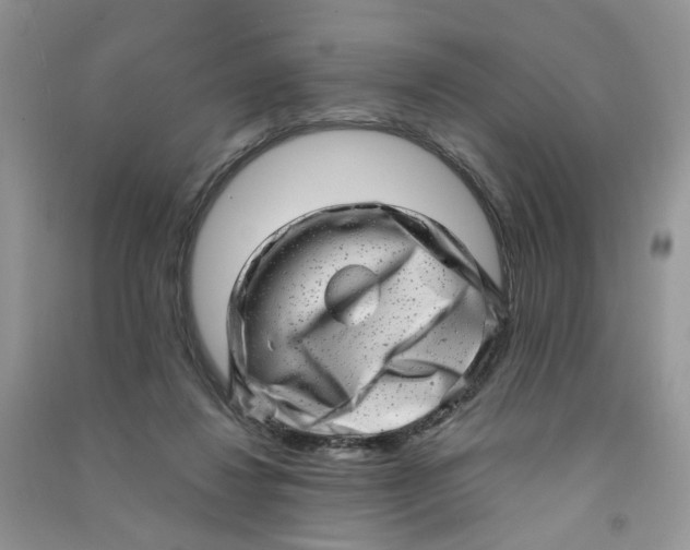 X0000090630260200708141440