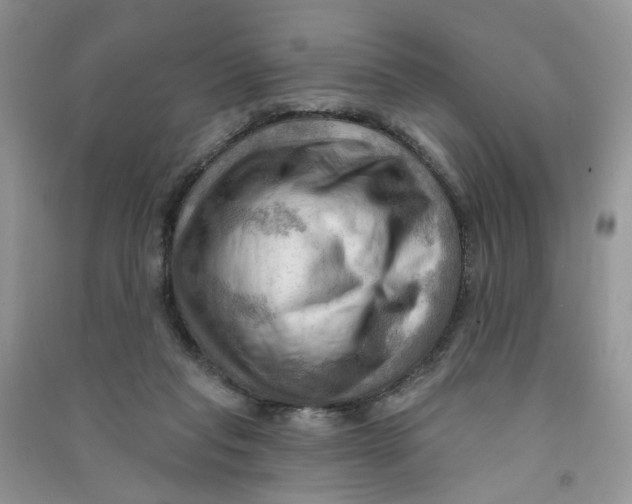 X0000090630261200708141440