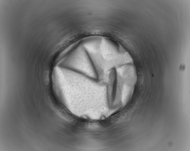 X0000090630262200708141440