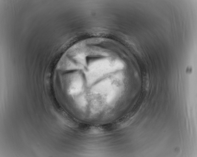 X0000090630263200708141440