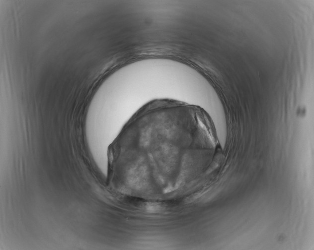 X0000090630264200708141440