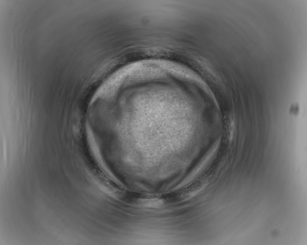 X0000090630266200708141440